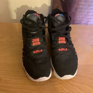LeBron 17 James Gang